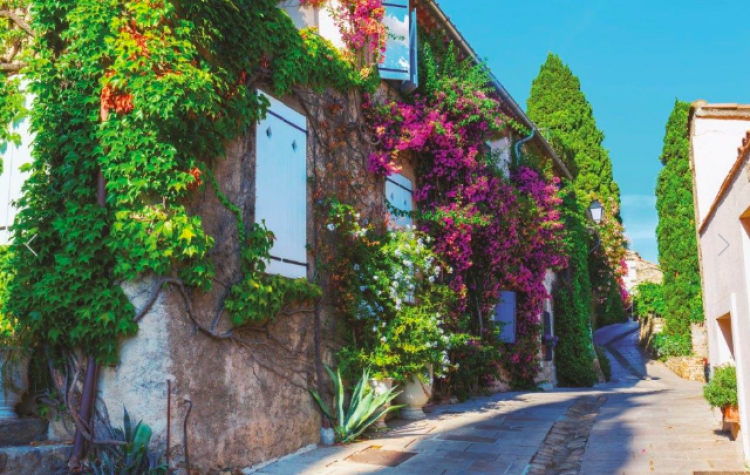 Property for Sale in Var, Draguignan, Provence-Alpes-Côte d'Azur, France