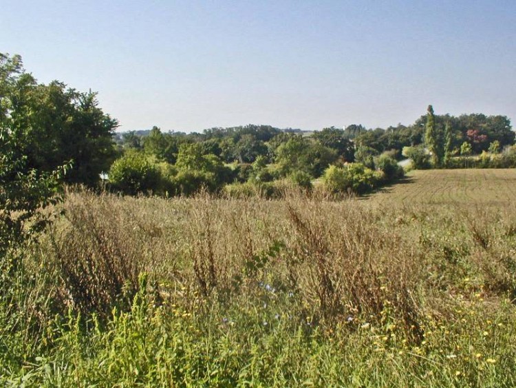 Property for Sale in A fabulous building plot in a good location close to the popular historic village of Lauzun with its shops., Lot Et Garonne, Nouvelle-Aquitaine, France