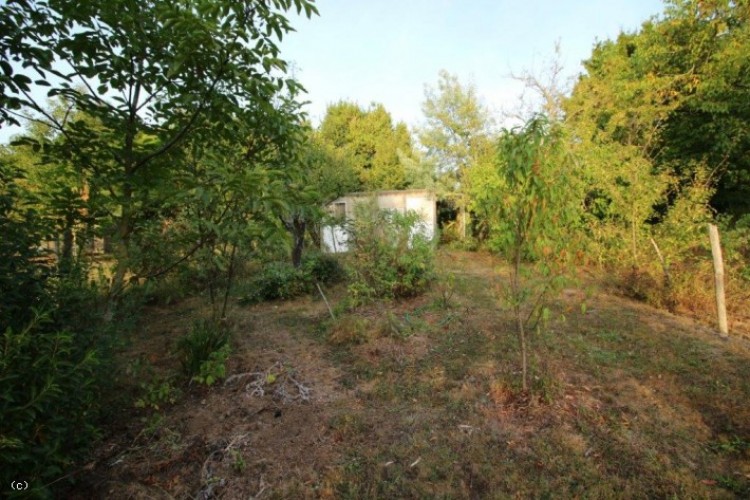 Property for Sale in Spacious Town Property With Large Wooded Park In A Quiet Location, Vienne, Civray, Nouvelle-Aquitaine, France