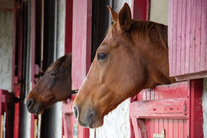 French Planning Applications: Riding Schools and Equestrian Centres