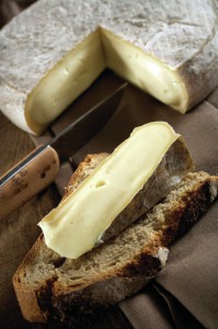 fromages saint nectaire