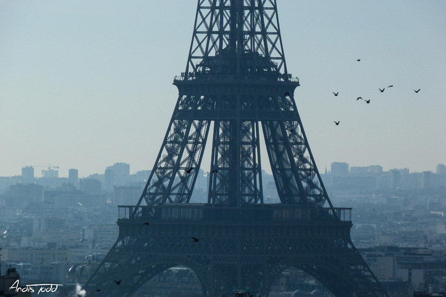 Anaïs Soury, Eiffel Tower