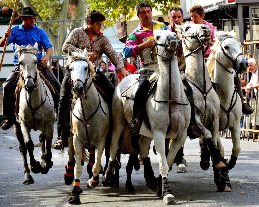 Brian Muir, Horsemen of St-Rémy de Provence