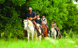 Handy tips for hunting horsey suppliers in Normandy