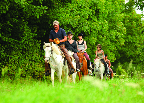 Handy tips for hunting horsey suppliers in Normandy