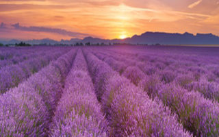 14 Ways to Enjoy Summer Like a Local in France