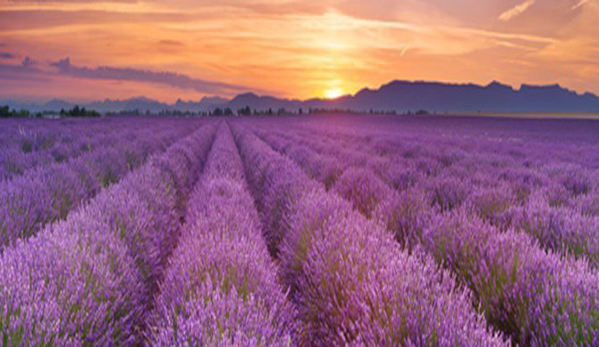 14 Ways to Enjoy Summer Like a Local in France