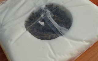 Beekeeping in the Charente – April Abeilles