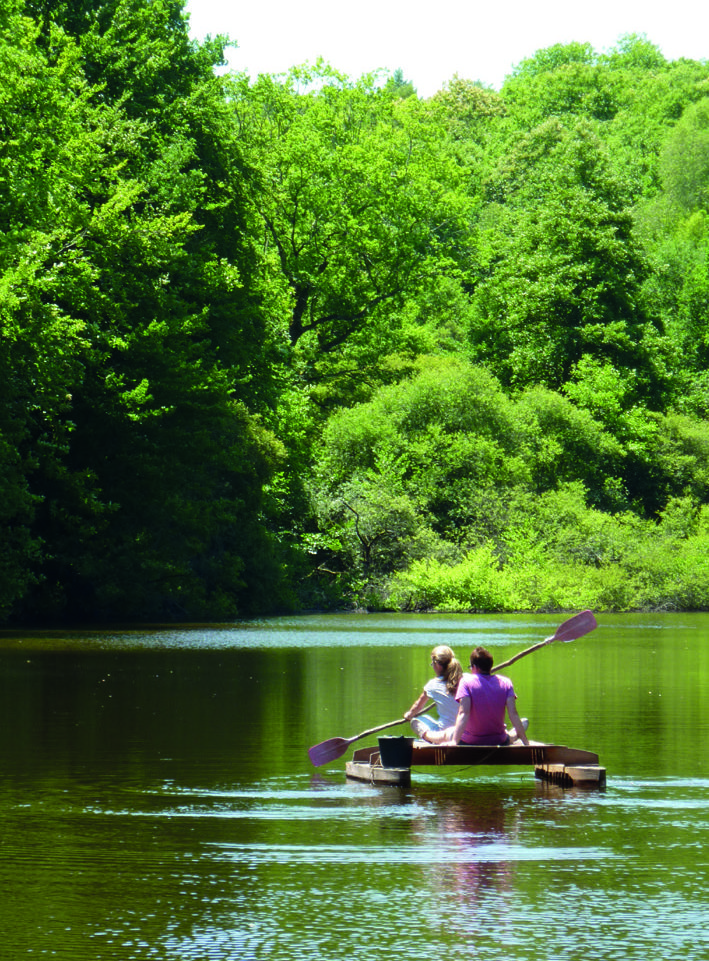 People rowing in the lake