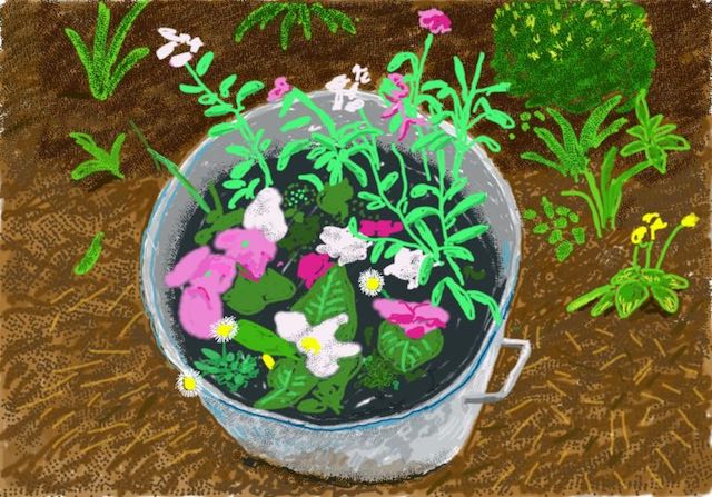 Flower in a pot ipad drawing