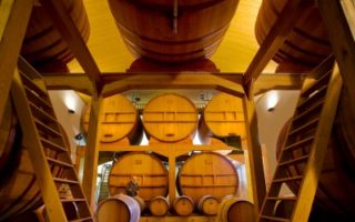 ‘To enjoy France you have to fit it’