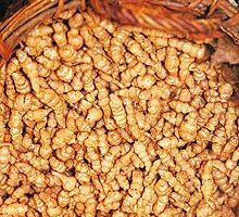 Mysterious Vegetables in France