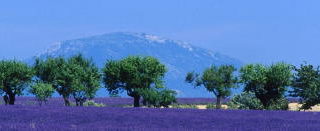 Property Guide – Provence Alpes & Côte d’Azur