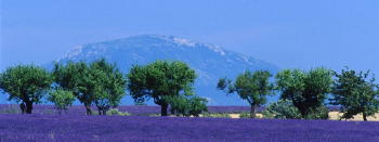 Property Guide – Provence Alpes & Côte d’Azur