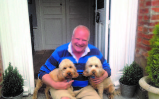 Veggie food for dogs and cats