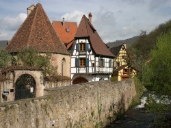 Learn French in Kaysersberg, Alsace