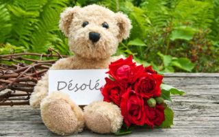 Learning French: How to say ‘sorry’ in French