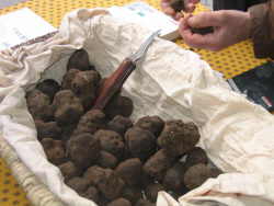 Truffles recipe of the Languedoc