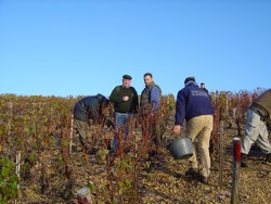 Burgundy wines, the secret is out!