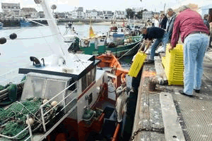 A Holiday Home in Finistere