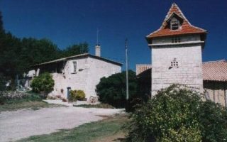 Winemaking in the South of France