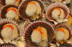 Scallops and Black Pudding served with  Apple Chutney