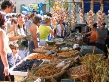 Journées de l’Olive – Annual Olive Festival in Nimes