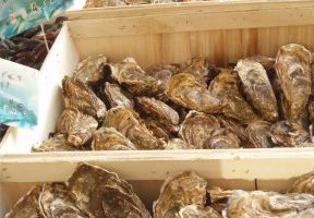 Normandy Oysters