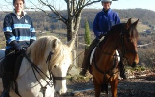 Horses in the Quercy