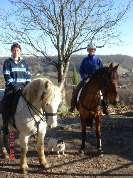 Horses in the Quercy