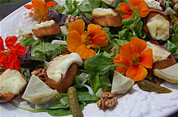 Marrying Artichokes to Rocamadour