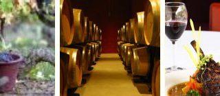 Languedoc-Roussillon Autumn Wines