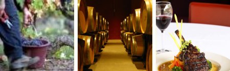 Languedoc-Roussillon Autumn Wines