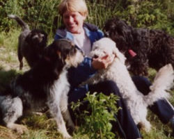 Rescuing Stray Dogs in France