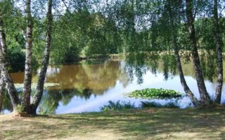 Diary of a Corrèze Conversion – Part 1