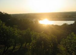 The famous Loire Valley wines