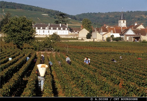 Burgundy wines in the Saone et Loire
