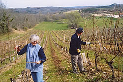 Domaine du Garinet Cahors Wine