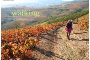 New Issue of Frenchentrée Magazine out Now!