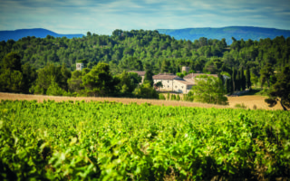 The Wild Southwest: Meet the Pioneers of Languedoc