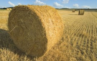 10 Reasons to Visit : The Charente