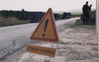 A Good Year for Champagne, Bring on the Cochelet