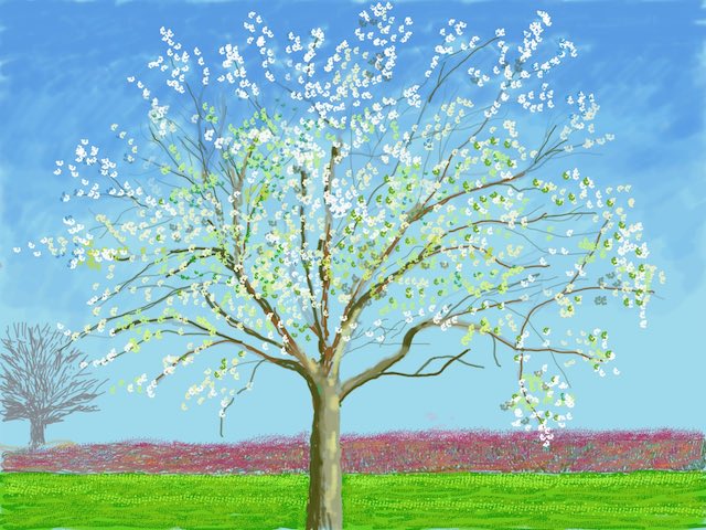 David Hockney shares springtime drawings from Normandy lockdown