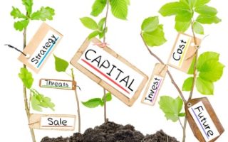 Tax efficient investments in France and <i>assurance vie</i>