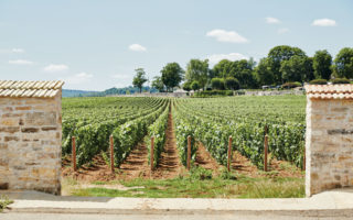 Discover under-the-radar regions that rival France’s most iconic names