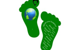 Carbon Footprint Calculator