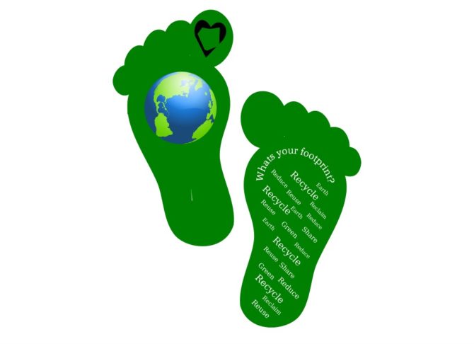 Carbon Footprint Calculator