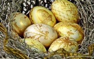 Annoix, Memories of a French Exchange