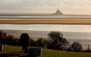 Equestrian property in France