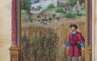 Francis I exhibition at Château de Blois